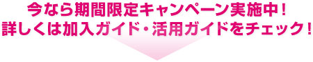 今なら期間限定キャンペーン実施中!詳しくは加入ガイド・活用ガイドをチェック!