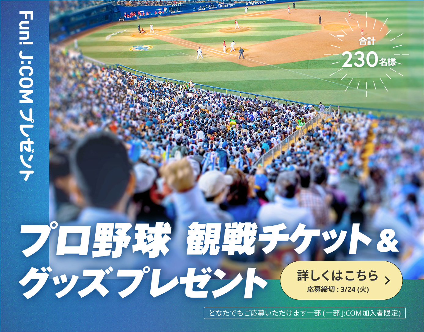 プロ野球観戦チケットプレゼント