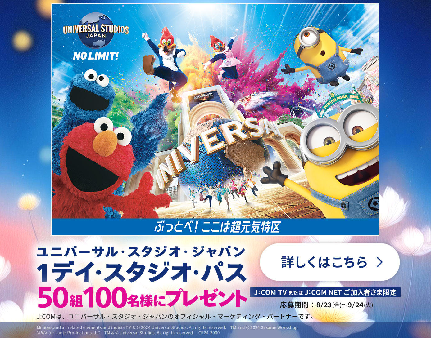 USJ パートナー・パス 大人 2枚 USJペアチケット ☆送料無料即日 USJ パートナー・パス 大人 2枚 USJペアチケット ☆送料無料即日