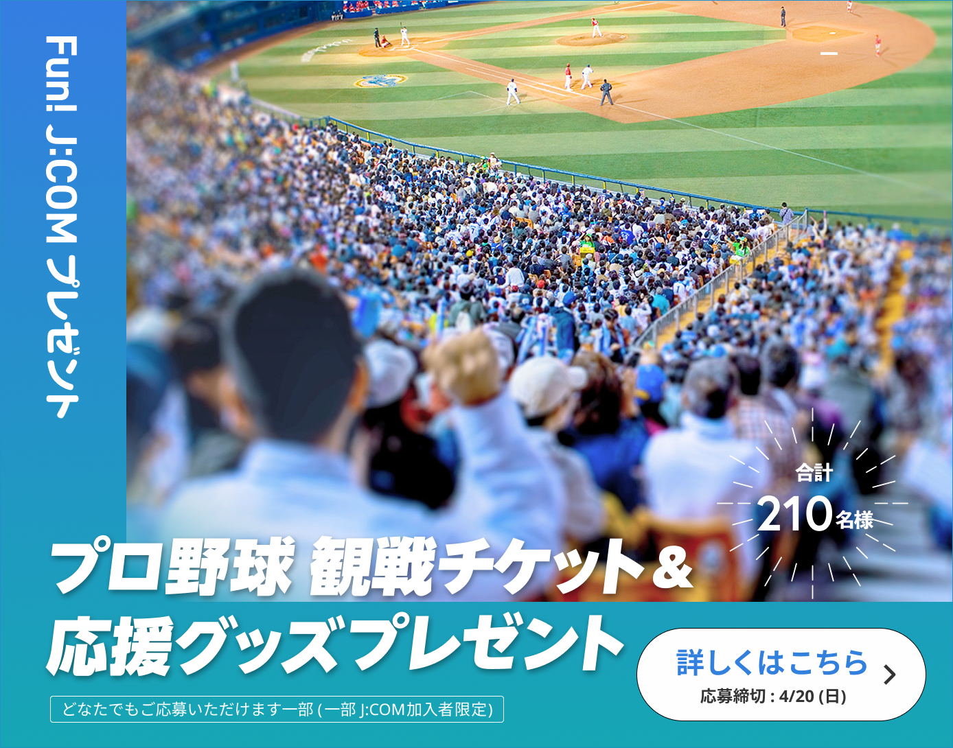 プロ野球観戦チケット＆応援グッズプレゼント