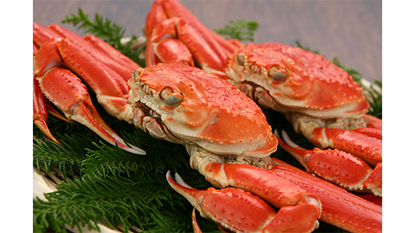 厳選賞品が当たる豪華プレゼント！ダイソン ファンヒーター、ズワイ蟹ほか