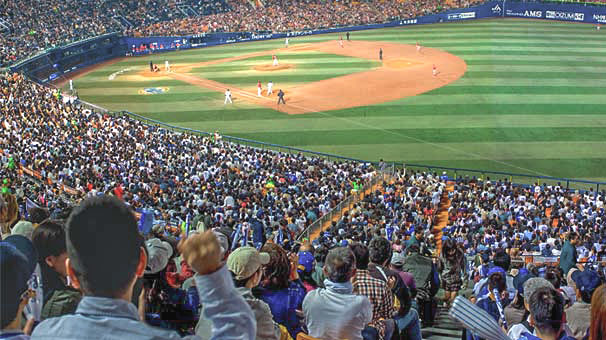 プロ野球観戦チケット
