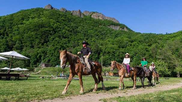 ご加入者さま向け特別プラン【札幌】カウボーイスタイル(ウエスタン)で楽しむ乗馬体験とジンギスカンランチ (日帰り)